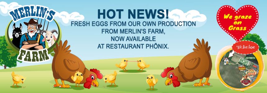 Eggs from Merlin's farm