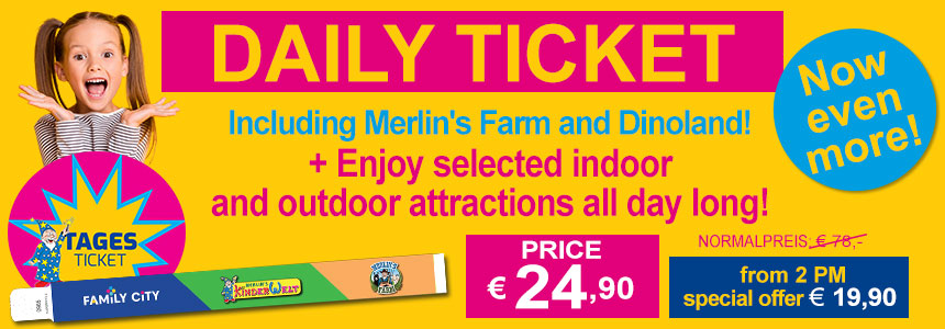 Daily ticket