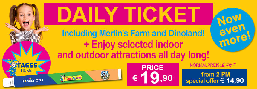 Daily ticket