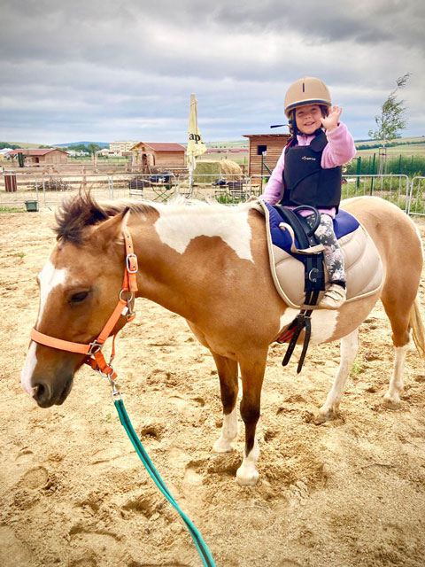 Pony Rides