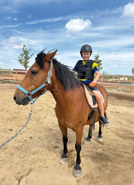 Pony Rides
