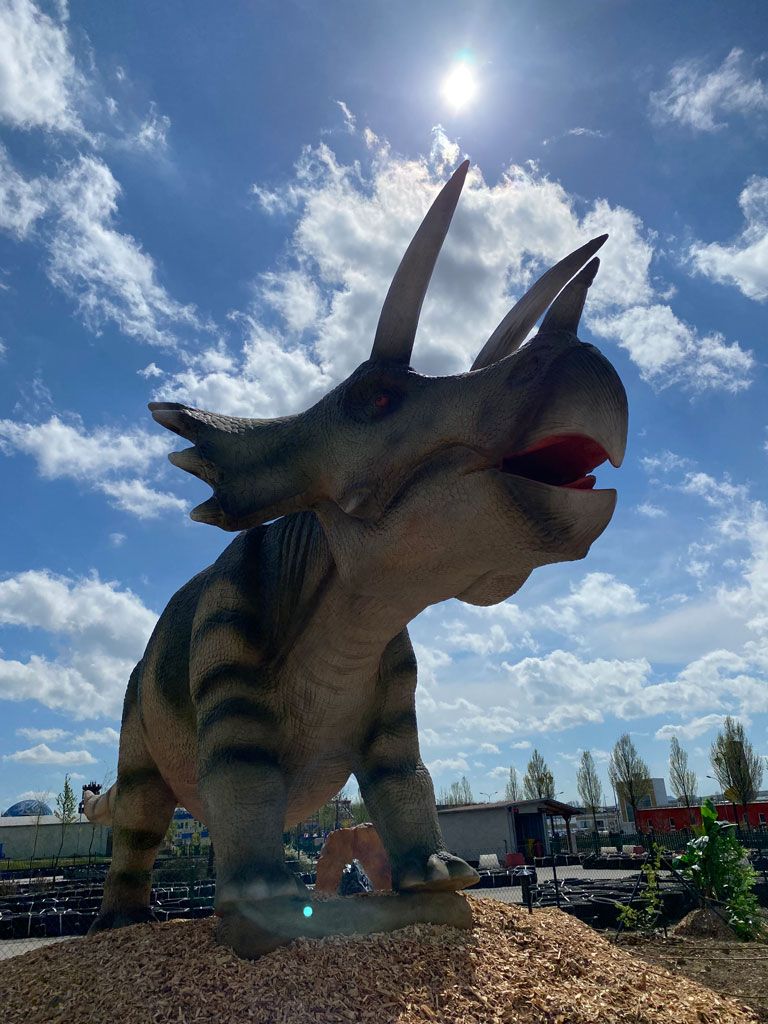 Merlin's Dinoland – Family City (5)
