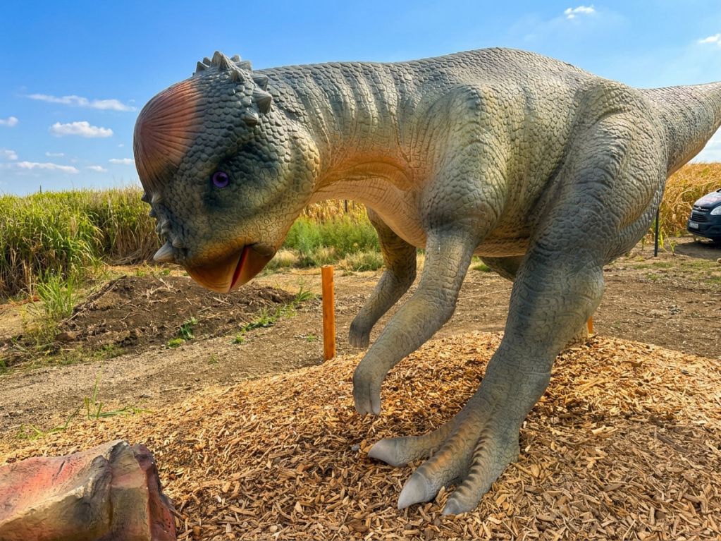 Merlin's Dinoland – Family City (15)