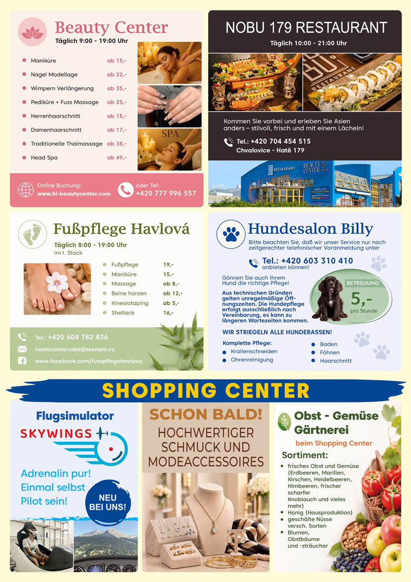 Flyer – Family City (17)